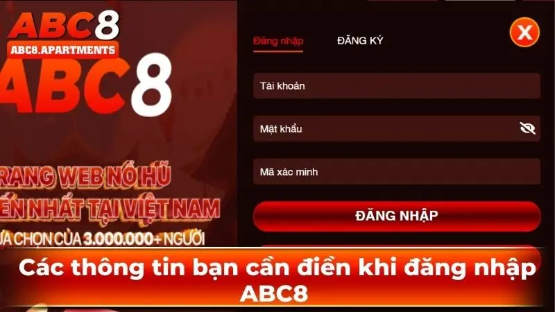 Các thông tin bạn cần điền khi đăng nhập ABC8 