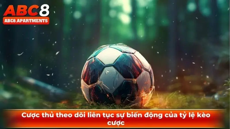 Cược thủ theo dõi liên tục sự biến động của tỷ lệ kèo cược